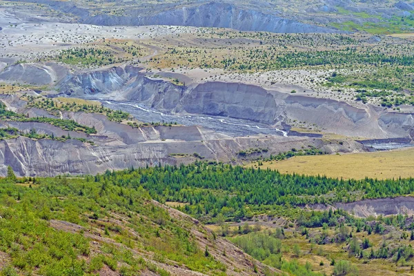 Stream Cutting Pyroclastic Flow Mount Helens Volcanic National Monument Washington — Stock Photo, Image