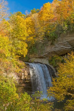 Kuzey Carolina 'daki Pisgah Ulusal Ormanı' nda Sonbahar Renkleri Arasında Aynalı Şelale