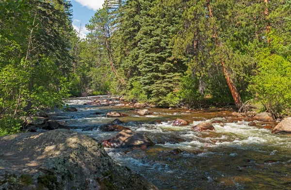科罗拉多落基山脉国家公园的山溪流过松林 — 图库照片