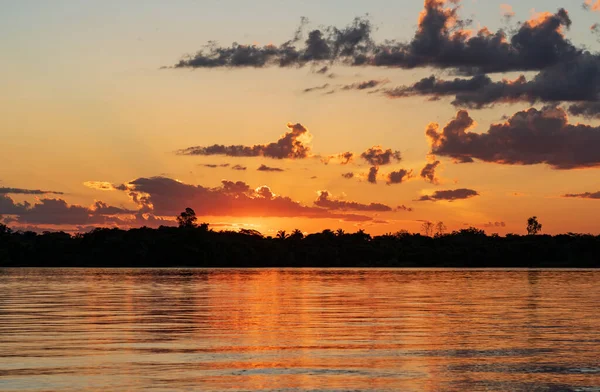 Tramonto Nel Bacino Amazzonico Vicino Alta Floresta Brasile — Foto Stock