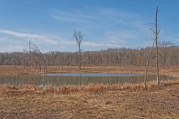 Lagoa Wetland Savannah Prairie Deer Grove Forest Preserve Illinois — Fotografia de Stock