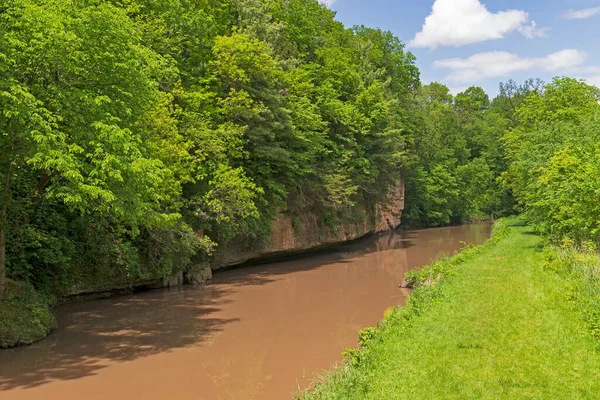 Verdant Green Trees Cliff Lined Stream White Pines State Park — стокове фото