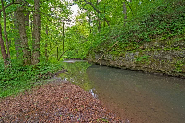 Klidný Potok Jarním Lese Státním Parku White Pines Illinois — Stock fotografie