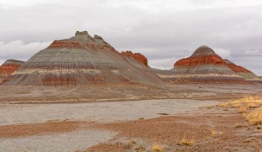 Arizona 'daki Taşlaşmış Orman Ulusal Parkı' ndaki Bulutlu Çölde Yalnız Popolar