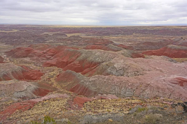 亚利桑那州石化林国家公园阴天的红色沙漠景观 — 图库照片