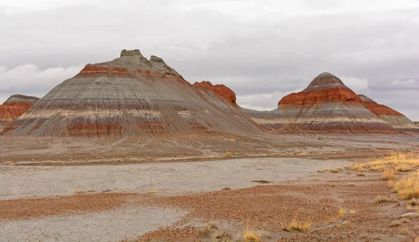 Buttes Solitarios Desierto Nublado Parque Nacional Bosque Petrificado Arizona —  Fotos de Stock