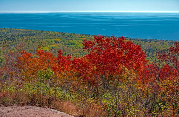 Kızıl Yapraklar Minnesota 'daki Oberg Gölü Yolu' nda Superior Gölü üzerinde.