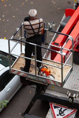 Moskova, Rusya - 3 Eylül 2018: Hidrolik Asansör ile bir araba Da-324 Chaika servisin bir konut bina avluda bitki. Kuru dallar, zarar gören ağaç, kesme budama kroning