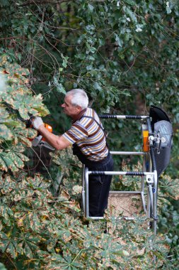Moskova, Rusya - 3 Eylül 2018: Hidrolik Asansör üzerinde bir işçi Da-324 Chaika servisin bir konut bina avluda bitki. Kuru dallar, zarar gören ağaç, kesme budama kroning