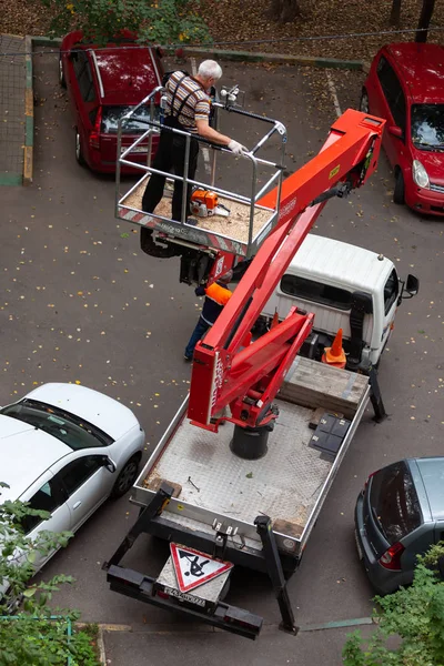 Moskova, Rusya - 3 Eylül 2018: Hidrolik Asansör ile bir araba Da-324 Chaika servisin bir konut bina avluda bitki. Kuru dallar, zarar gören ağaç, kesme budama kroning