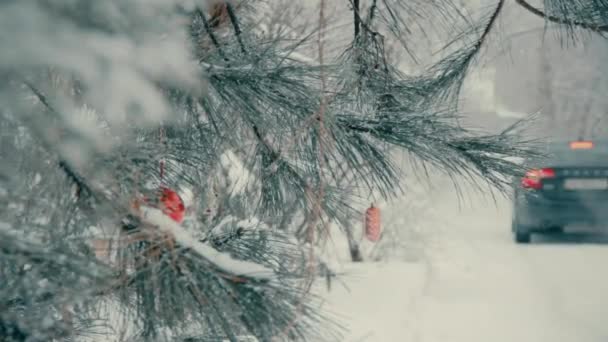 Buiten Spar Met Kerstmis Speelgoed Takken Winter Sneeuw Bedekte Weg — Stockvideo