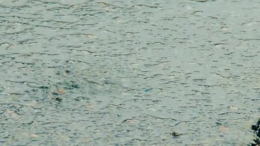 Yağmurda kaldırımda su birikintisi. Damlalar suya düşer.