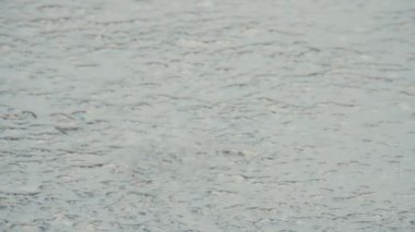 Yağmurda kaldırımda su birikintisi. Damlalar suya düşer.