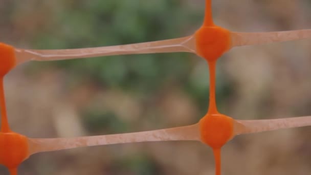 Orange welded plastic garden mesh as a lawn fence protection net — Stock Video