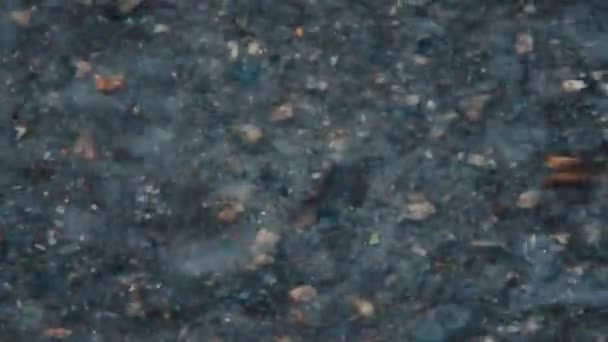 Pfützen auf dem Bürgersteig im Regen. Wasserblase schwimmt — Stockvideo
