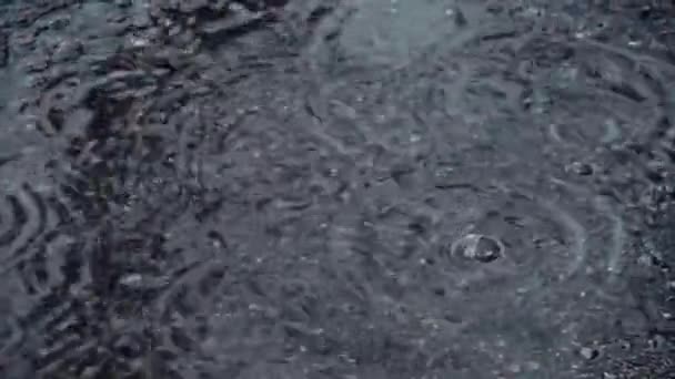 Pluie d'avril. La première pluie printanière dans la ville. Pulvérisation d'eau — Video