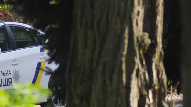 Patrol police car is parked behind the trees in the city park — Stock Video