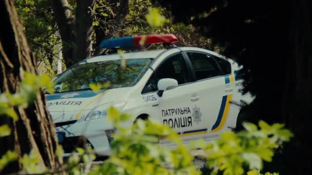 Patrol police car is parked behind the trees in the city park — Stock Video