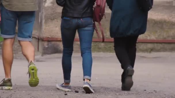 Groupe de jeunes marchant le long d'une ruelle universitaire de printemps — Video