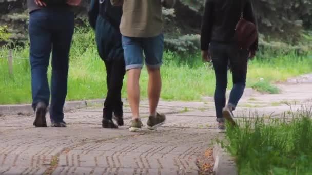 Skupina mladých lidí, kteří kráčí po jarní univerzitní uličce — Stock video