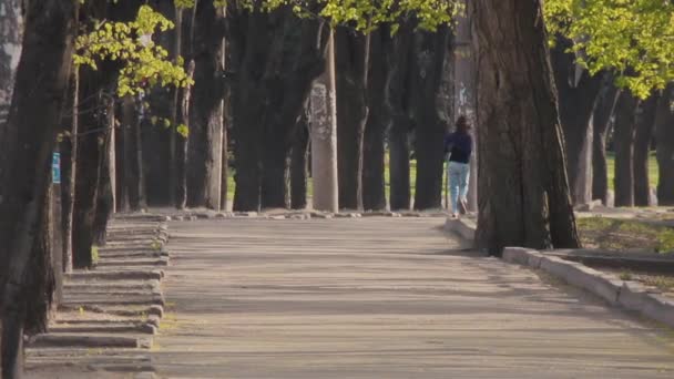 Ung flicka i jeans och en blus springer längs allén på vägen — Stockvideo