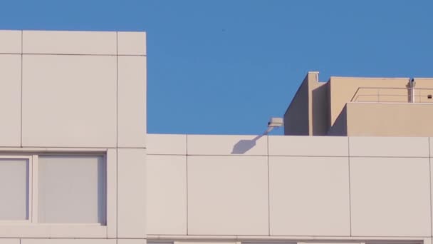 Вид на фасад офісної будівлі на травневий весняний день — стокове відео