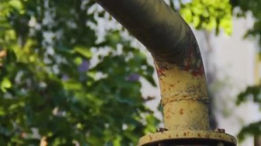 Yeşil yaprakların arka planında terk edilmiş sarı gaz borusu