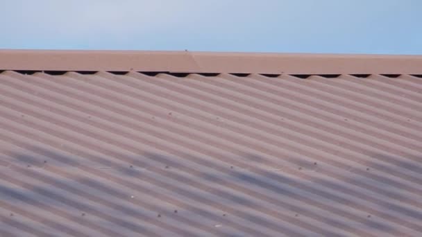 Dachhaus wird gegen den blauen Himmel gebaut. ziegelrot — Stockvideo