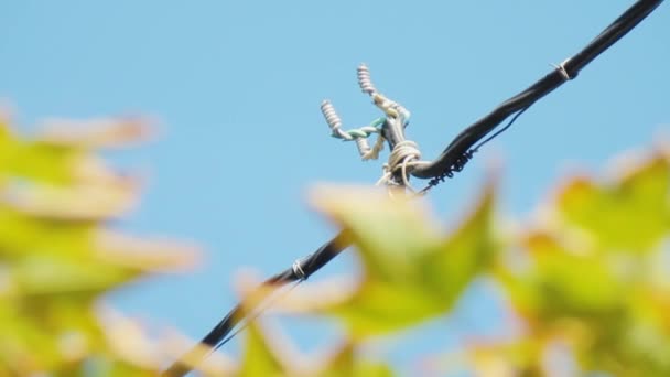 Fili intrecciati di illuminazione stradale esterna. Di giorno. Luce del sole — Video Stock