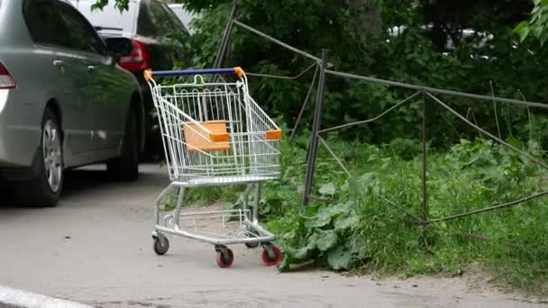 Carrello abbandonato dal supermercato. Verde albero e prato erboso. Un vuoto — Video Stock