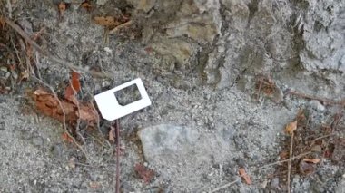 Mini, mikro ve nano abone tanımlama modülü arasındaki adaptör. Çöpe atılmış