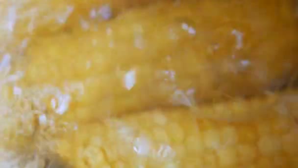Спелые колосья кукурузы с ярко-желтыми зернами в кипящей банке. Зеа Мэйс. Кукурузная мука — стоковое видео