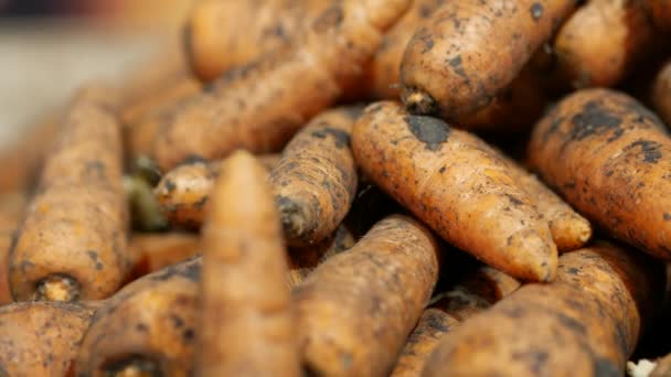 有泥土痕迹的胡萝卜躺在超级市场的架子上.年轻的新鲜胡萝卜 — 图库视频影像