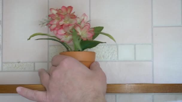 Искусственный цветок в горшке на деревянной полке. Полка на стене. Интерьер кухни — стоковое видео