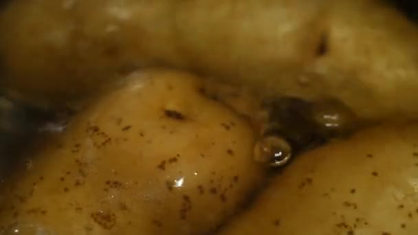 Potato tubers are boiled in water. Thin-skinned raw fresh unpeeled potatoes — Stock Video