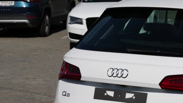 Najnowsze samochody Audi w salonie dealerów. Nowe samochody są na sprzedaż. Błyszczące — Wideo stockowe