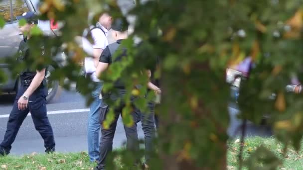 Politieagenten staan in de buurt van zwarte BMW op de weg en gesprekken met passagiers. — Stockvideo