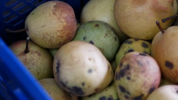 As peras maduras estão na caixa. A fruta é embalada firmemente após a colheita. Verde e amarelo — Vídeo de Stock