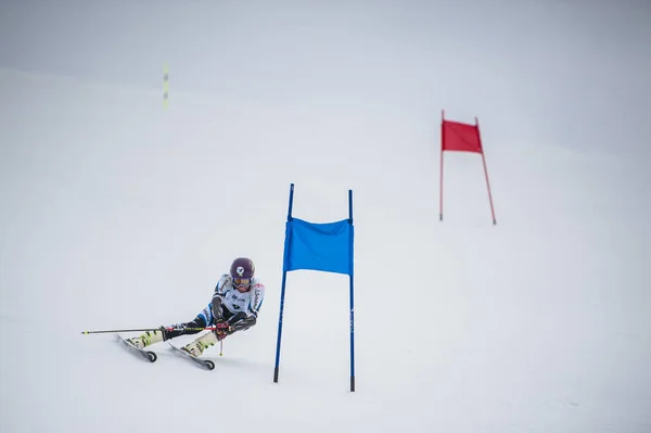 GUDAURI, GEORGIA - 28 DE MARZO DE 2015: Esquiador georgiano actúa en el gigante georgiano campeón de slalom — Foto de Stock