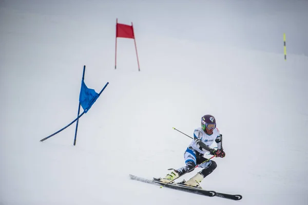 Gudauri, georgien - 28. märz 2015: georgischer skifahrer tritt beim georgischen riesenslalomweltmeister auf — Stockfoto