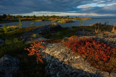 Rabocheostrovsk, Karelya yaz, güzel manzara