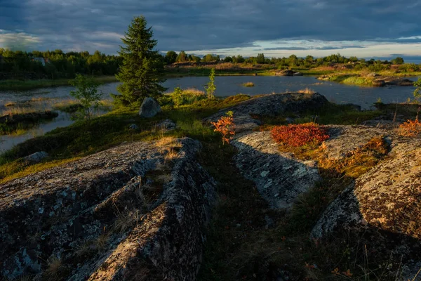 Krásná krajina v Rabocheostrovsk, Karélie letní — Stock fotografie