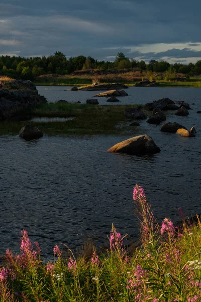 Krásná Krajina Rabocheostrovsk Karélie Letní — Stock fotografie
