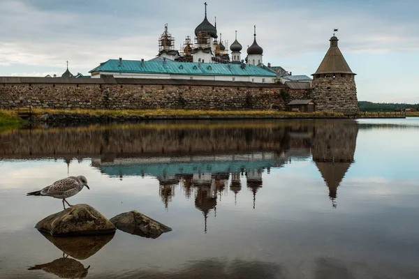 Yaz günü güzel Rus Solovki Manastırı.