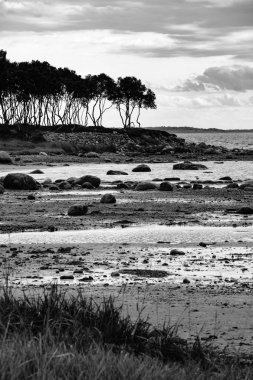 Bolşoy Solovetsky Adası, Rusya 'daki Beyaz Deniz kıyısında..
