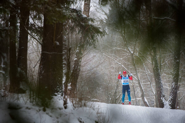 OBNINSK, RUSSIA - FEBRUARY 8: The Prize Bondarenko of cross country skiing on February 8, 2014 in Obninsk, Russia.