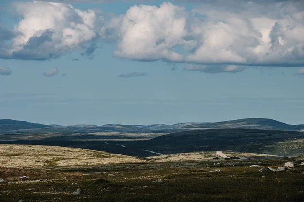 Letni krajobraz zielonej polarnej tundry w okolicach Teriberka — Zdjęcie stockowe