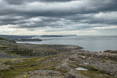 Teriberka civarında yeşil kutup tundra yaz manzara
