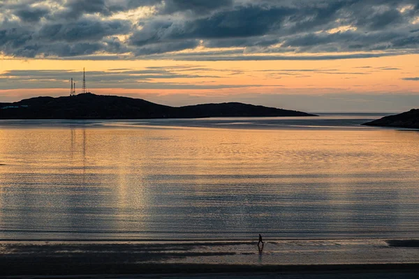 Teriberka civarında yeşil kutup tundra yaz manzara
