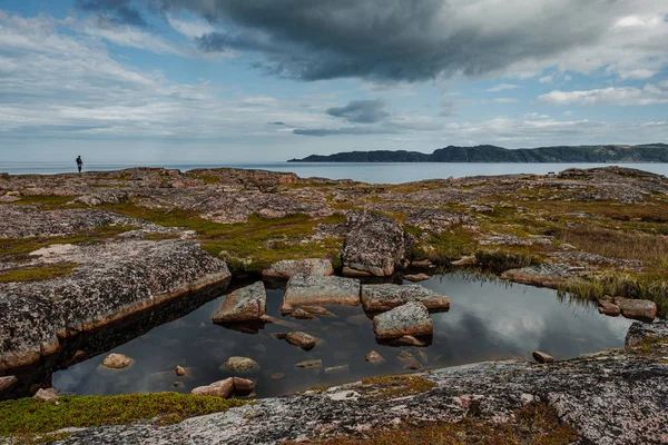 Paisaje de verano de la tundra polar verde en las inmediaciones Teriberka — Foto de Stock